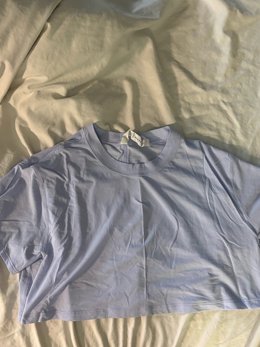 lululemon athletica Lavender/Blue Crew Neck Tee
